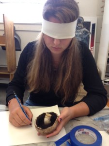 The Bay School's Experimental Drawing Lesson