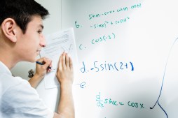 Solving Math Problems at Bay